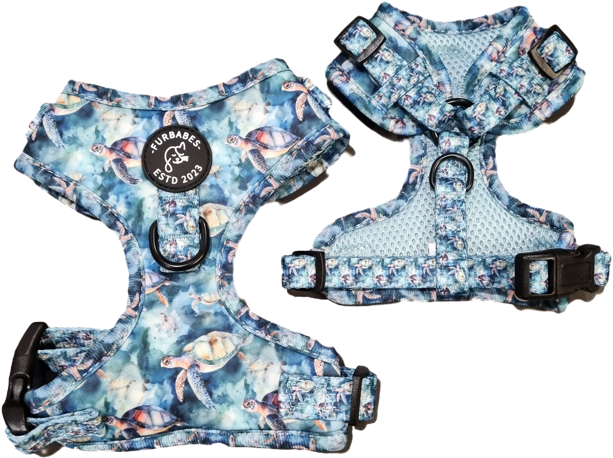 Fully Adjustable Neoprene Dog Harness - BUNDABERG TURTLES